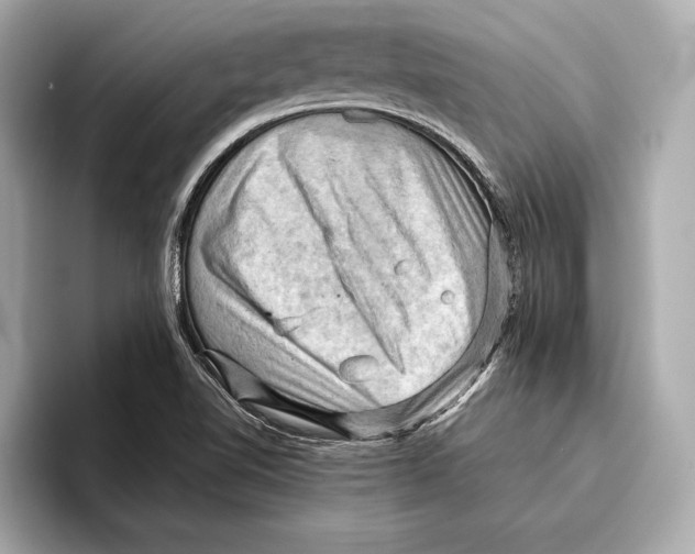 X0000096641510200802261246