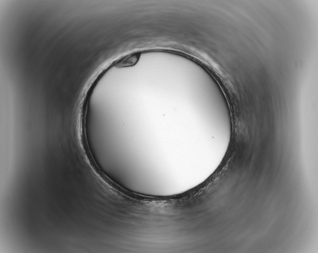 X0000096641512200802261246