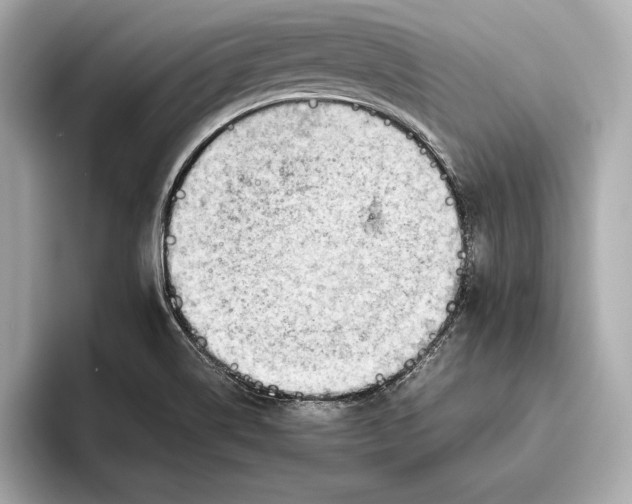 X0000096641514200802261246