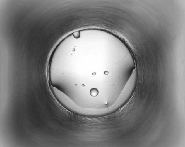 X0000096641516200802261246