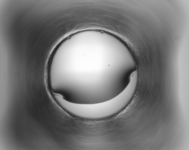 X0000096641518200802261246