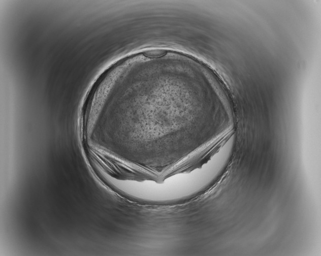 X0000096641519200802261246