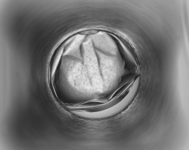 X0000096641520200802261246