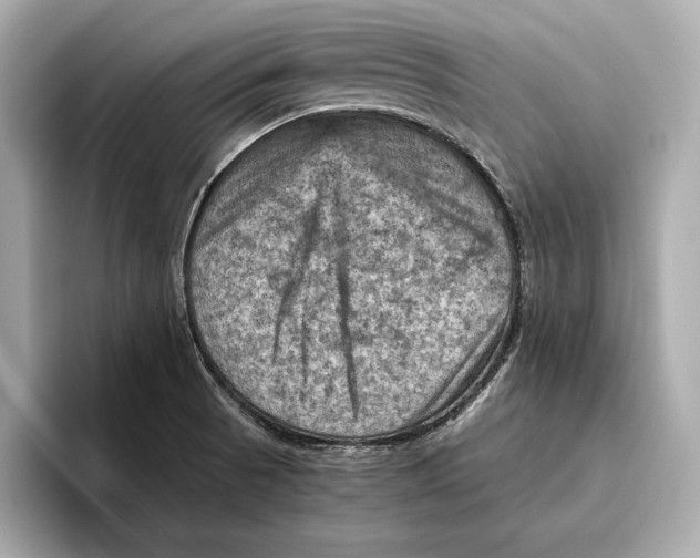 X0000096641521200802261246