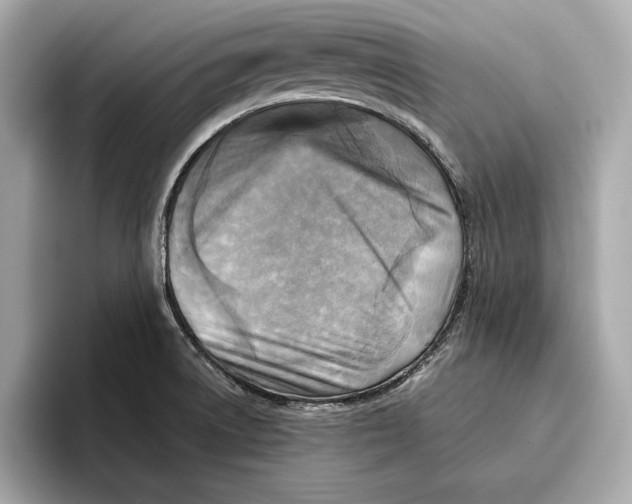 X0000096641522200802261246