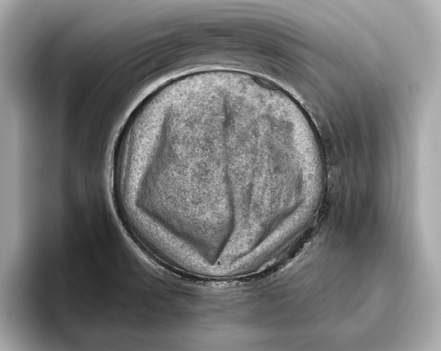 X0000096641523200802261246