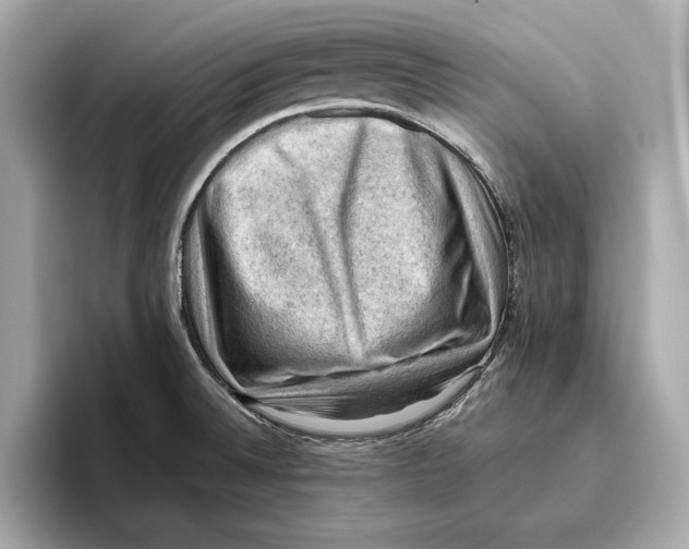 X0000096641524200802261246