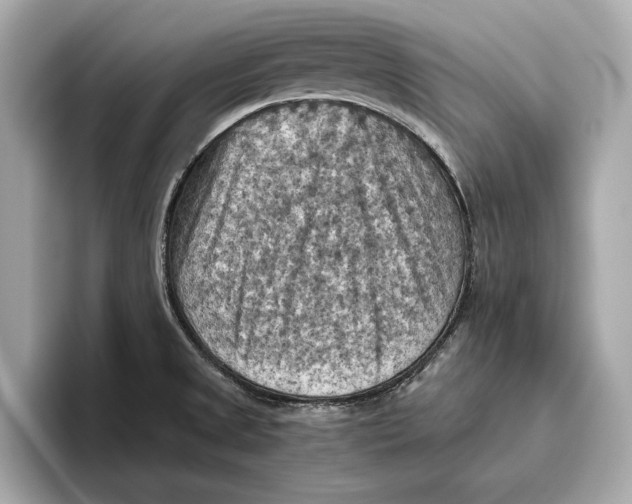 X0000096641525200802261246