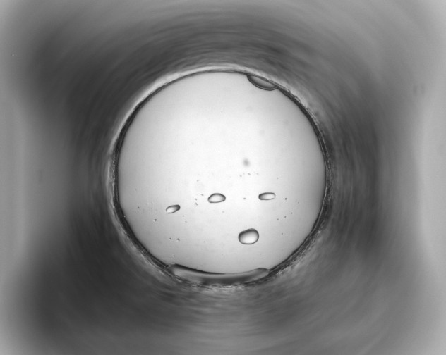 X0000096641526200802261246