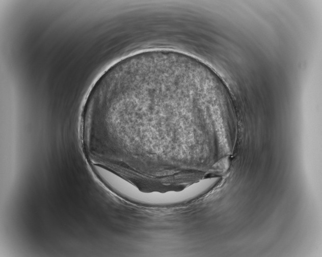 X0000096641527200802261246