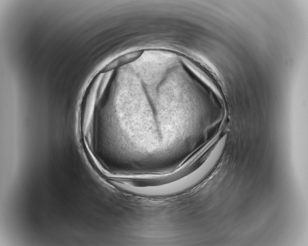 X0000096641528200802261246