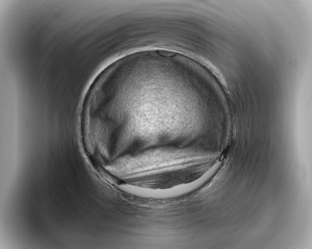 X0000096641530200802261246