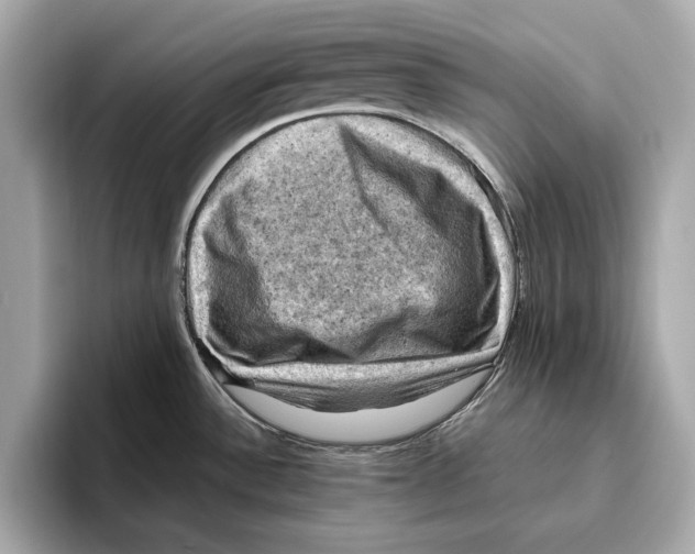 X0000096641532200802261246