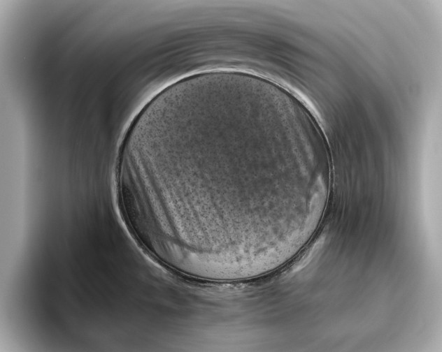 X0000096641533200802261246