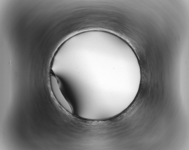 X0000096641534200802261246