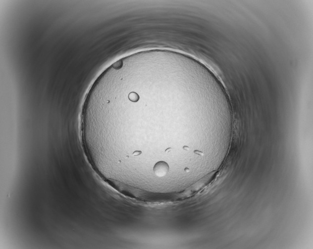 X0000096641535200802261246