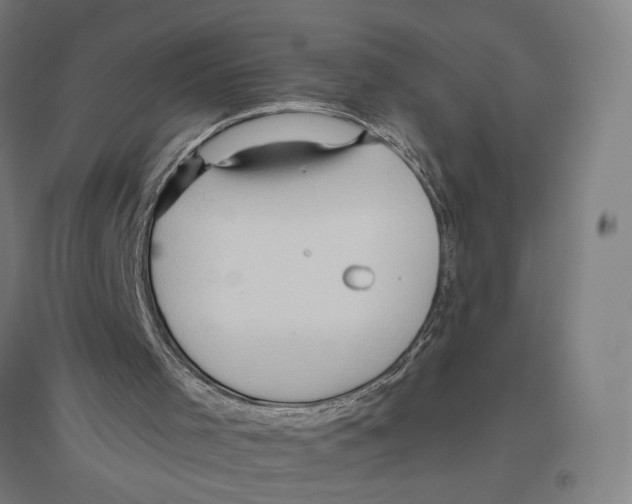 X0000096640001200803041137