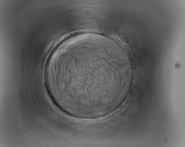 X0000096640002200803041137