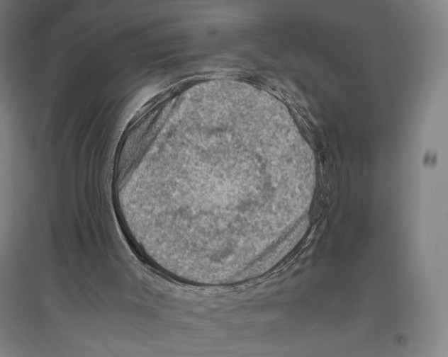 X0000096640003200803041137