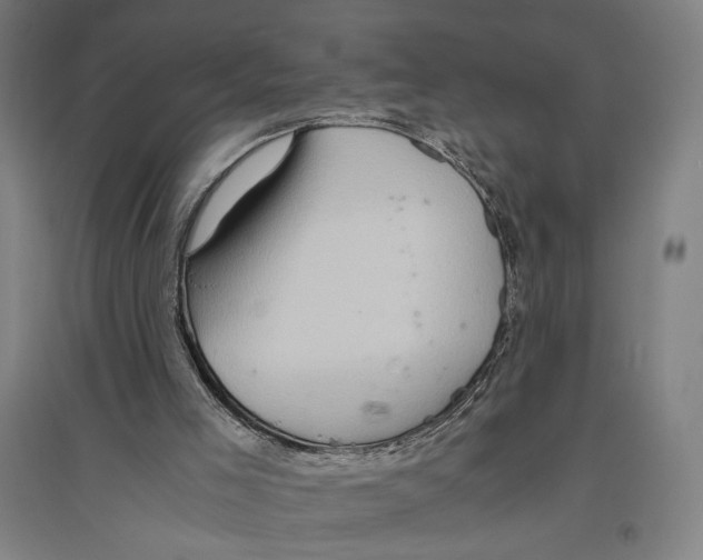 X0000096640005200803041137