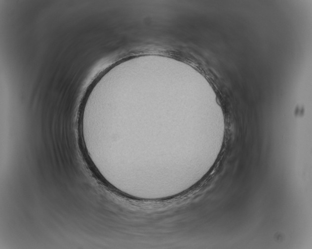 X0000096640006200803041137