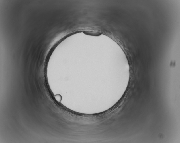 X0000096640008200803041137