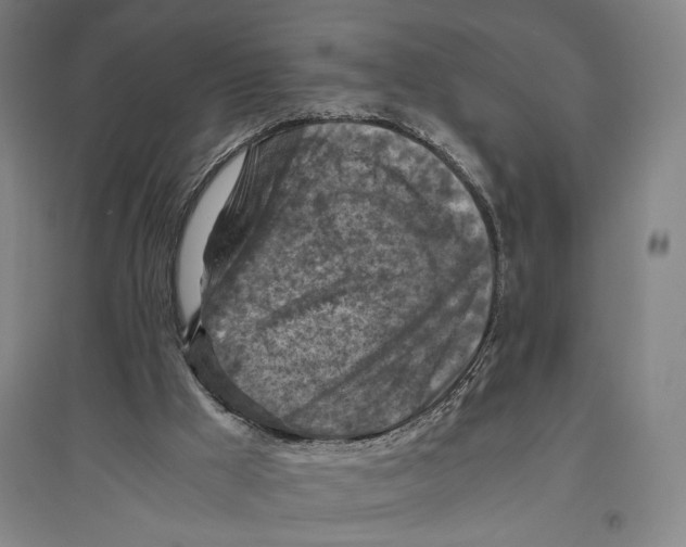 X0000096640009200803041137