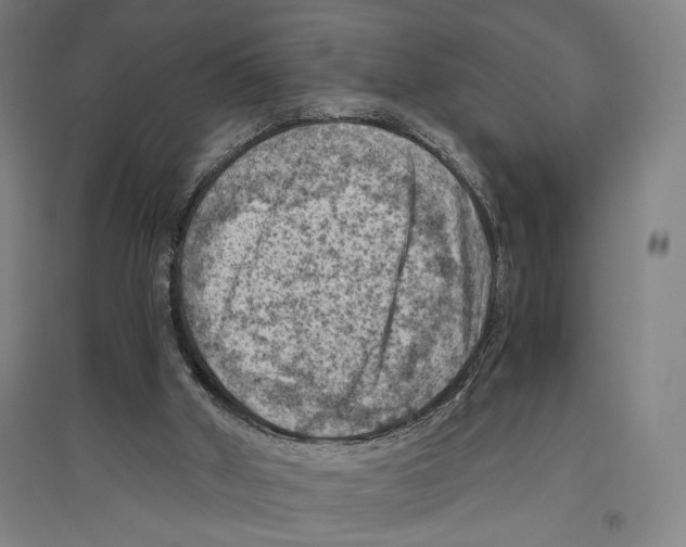 X0000096640010200803041137