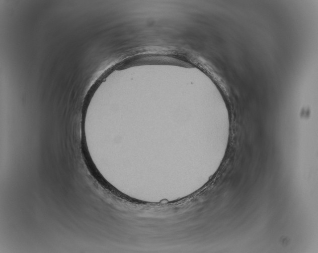 X0000096640011200803041137