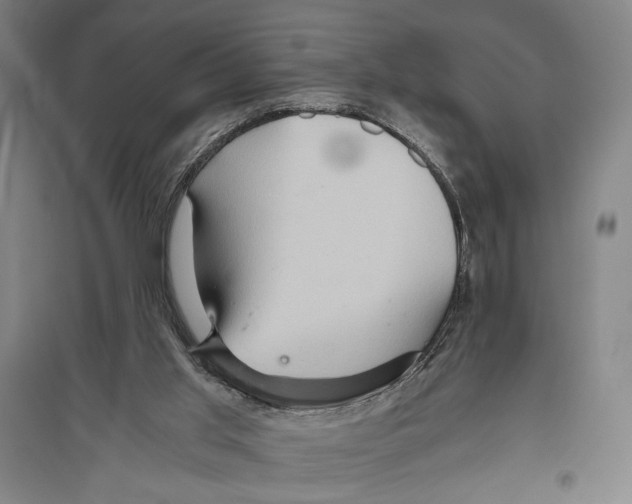 X0000096640013200803041137