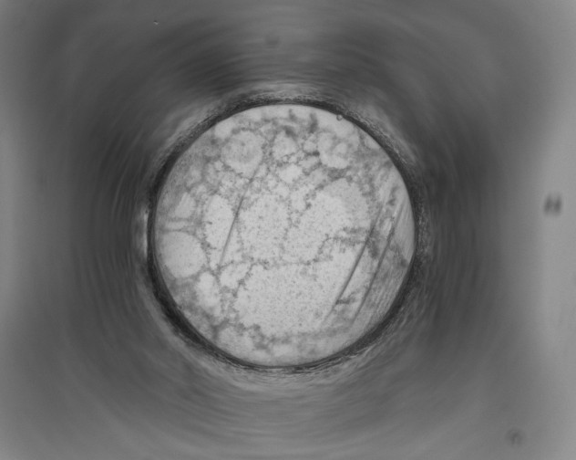 X0000096640014200803041137