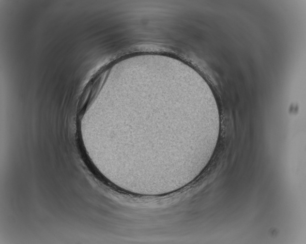 X0000096640015200803041137