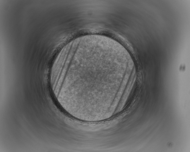 X0000096640018200803041137