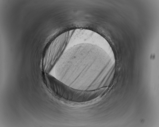 X0000096640019200803041137