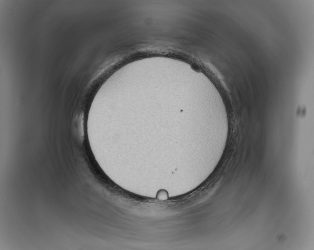 X0000096640020200803041137