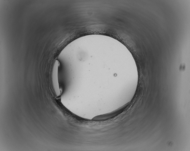 X0000096640021200803041137