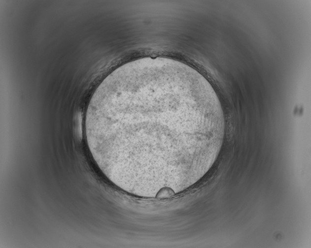 X0000096640022200803041137