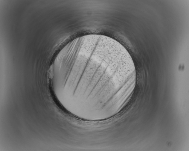 X0000096640023200803041136