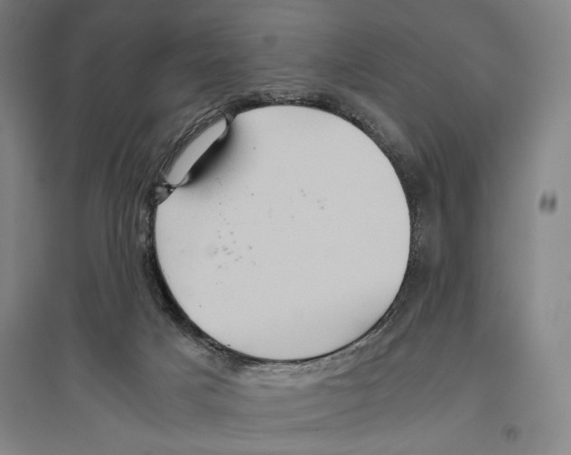 X0000096640025200803041136