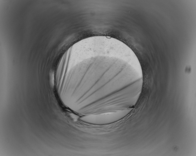 X0000096640027200803041136