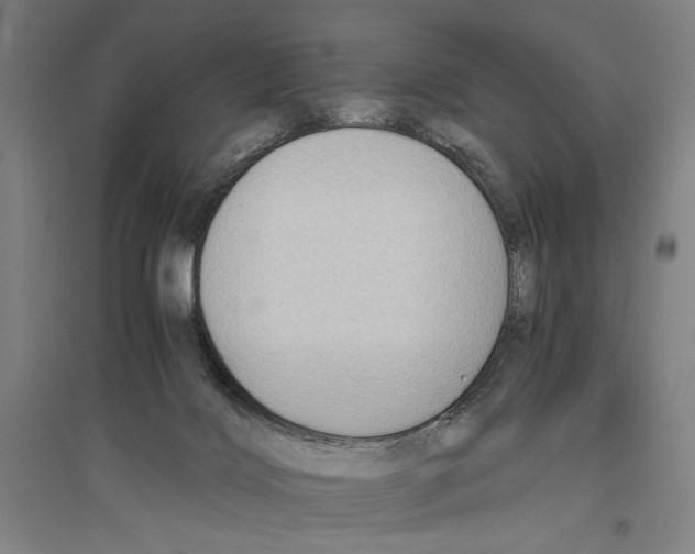 X0000096640028200803041136