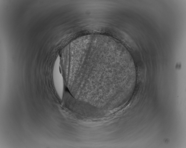 X0000096640029200803041136