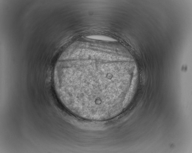 X0000096640032200803041136