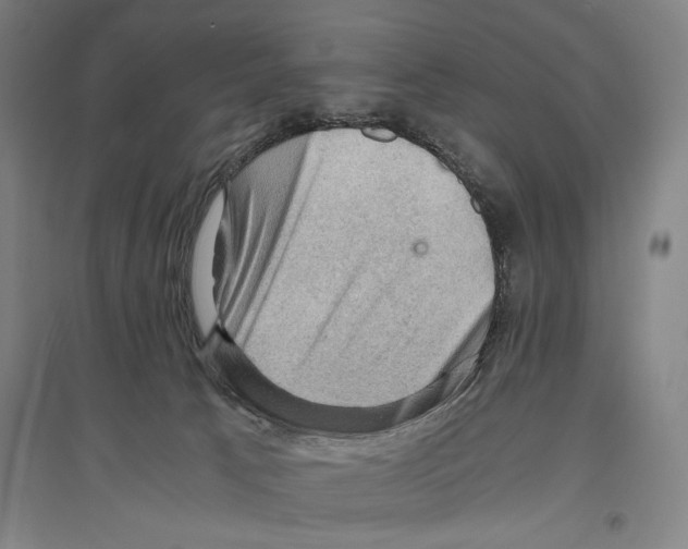 X0000096640033200803041136