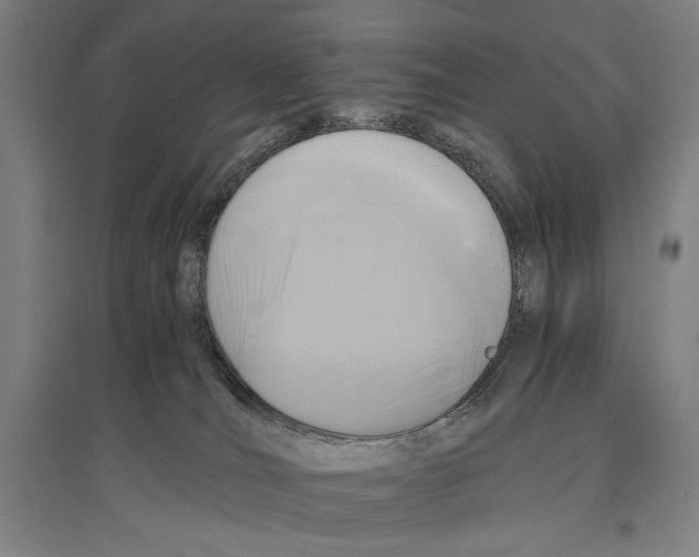 X0000096640036200803041136