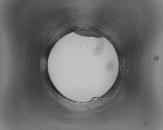 X0000096640038200803041136