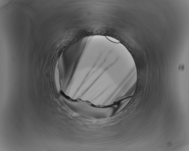 X0000096640039200803041136