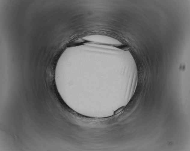 X0000096640040200803041136