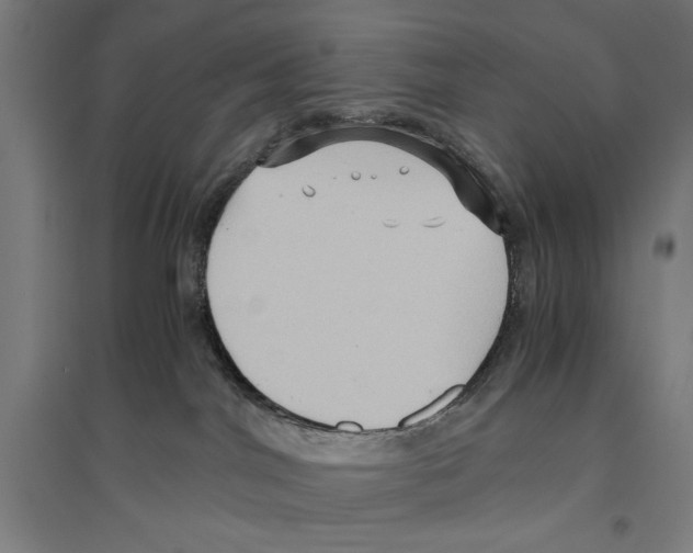 X0000096640044200803041136