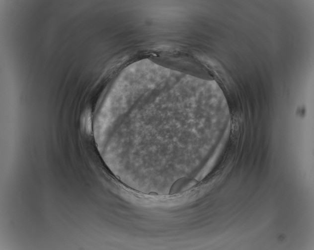 X0000096640046200803041136